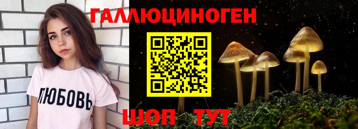 Галлюциногенные грибы прущие грибы Подольск