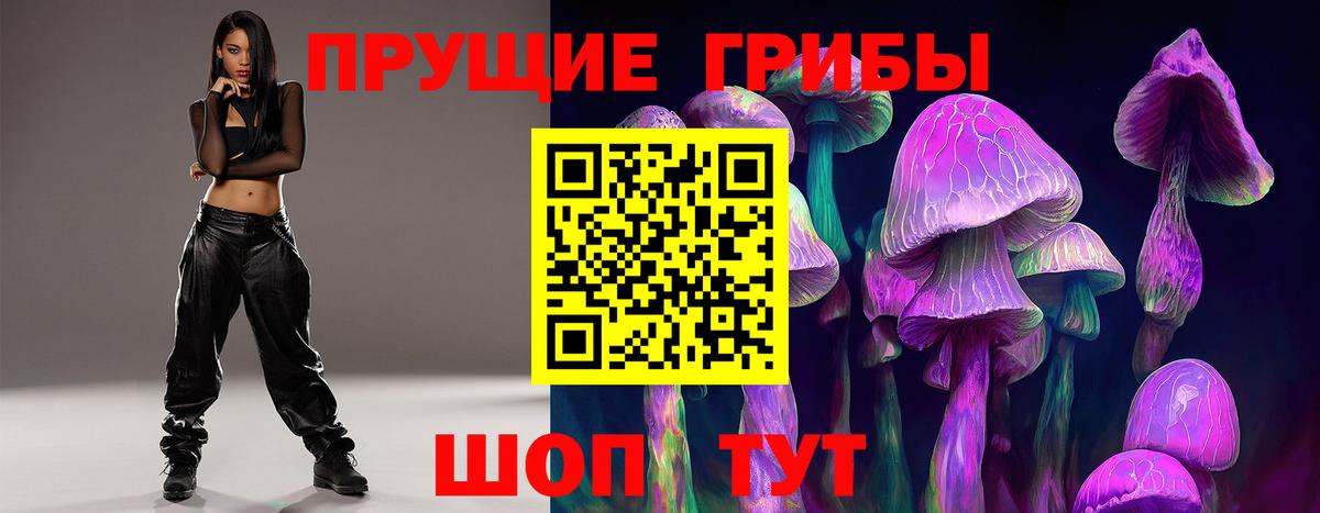 Псилоцибиновые грибы Psilocybine cubensis  Вход с VPN  купить наркотик  Подольск 